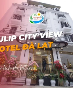 Tulip City View Hotel Đà Lạt