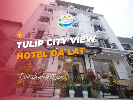 Tulip City View Hotel Đà Lạt