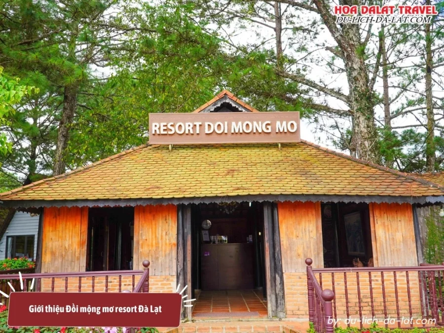 Đồi mộng mơ là khu du lịch nghỉ dưỡng nổi tiếng và hấp dẫn ở Đà Lạt