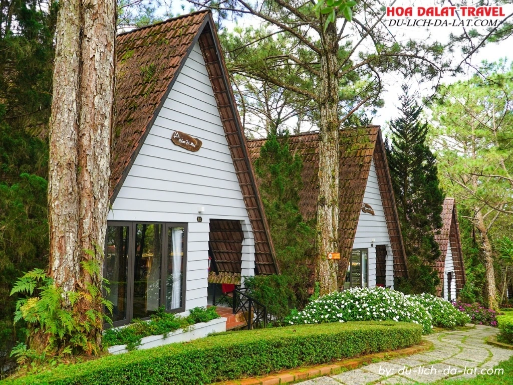 Bungalow của Đồi Mộng Mơ Resort Đà Lạt nằm giữa rừng thông xanh mát và cảnh quan thiên nhiên thơ mộng