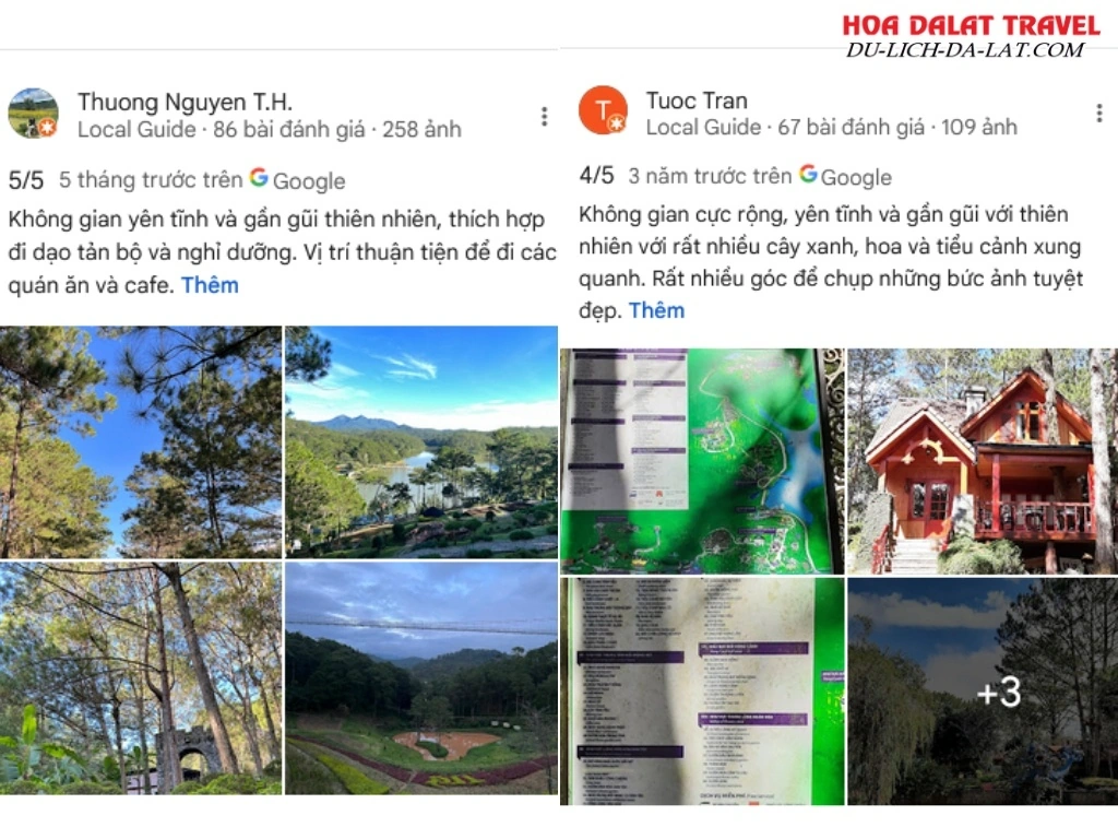 Đánh giá của khách hàng về Đồi mộng mơ resort dựa trên Google Maps