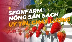 Seonfarm Đà Lạt
